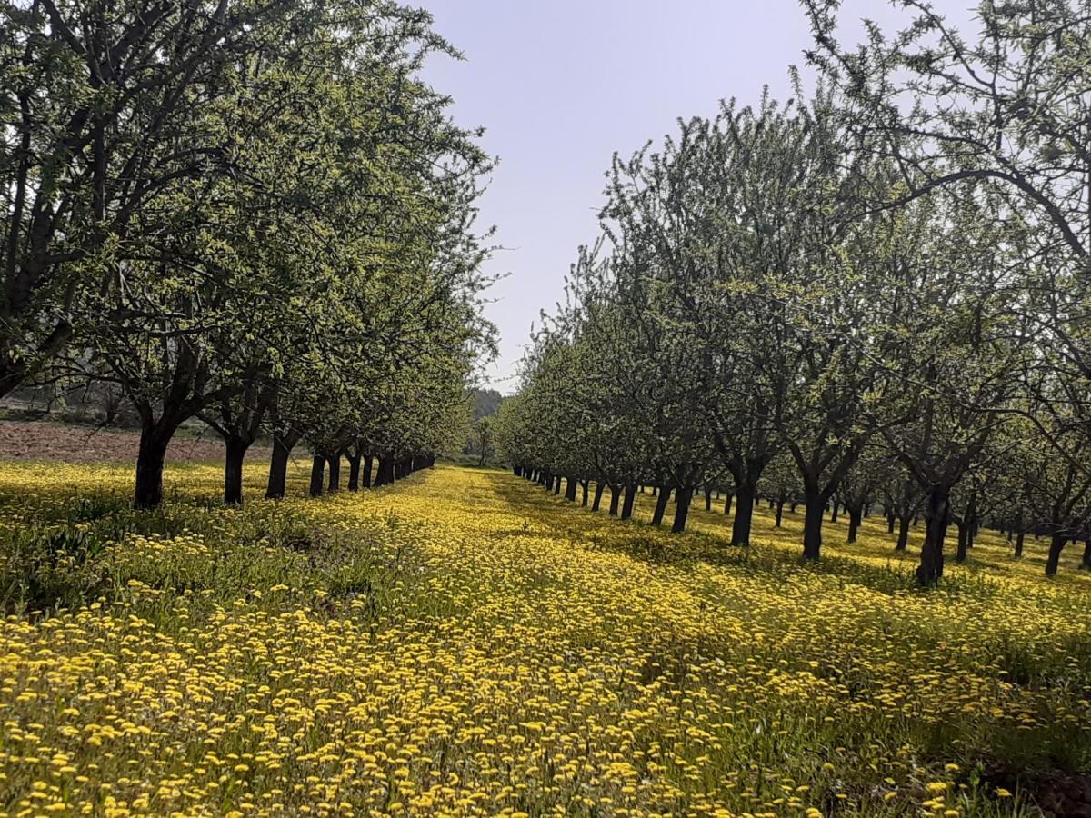 Bed and Breakfast Aude En Provence Meyrargues Екстер'єр фото